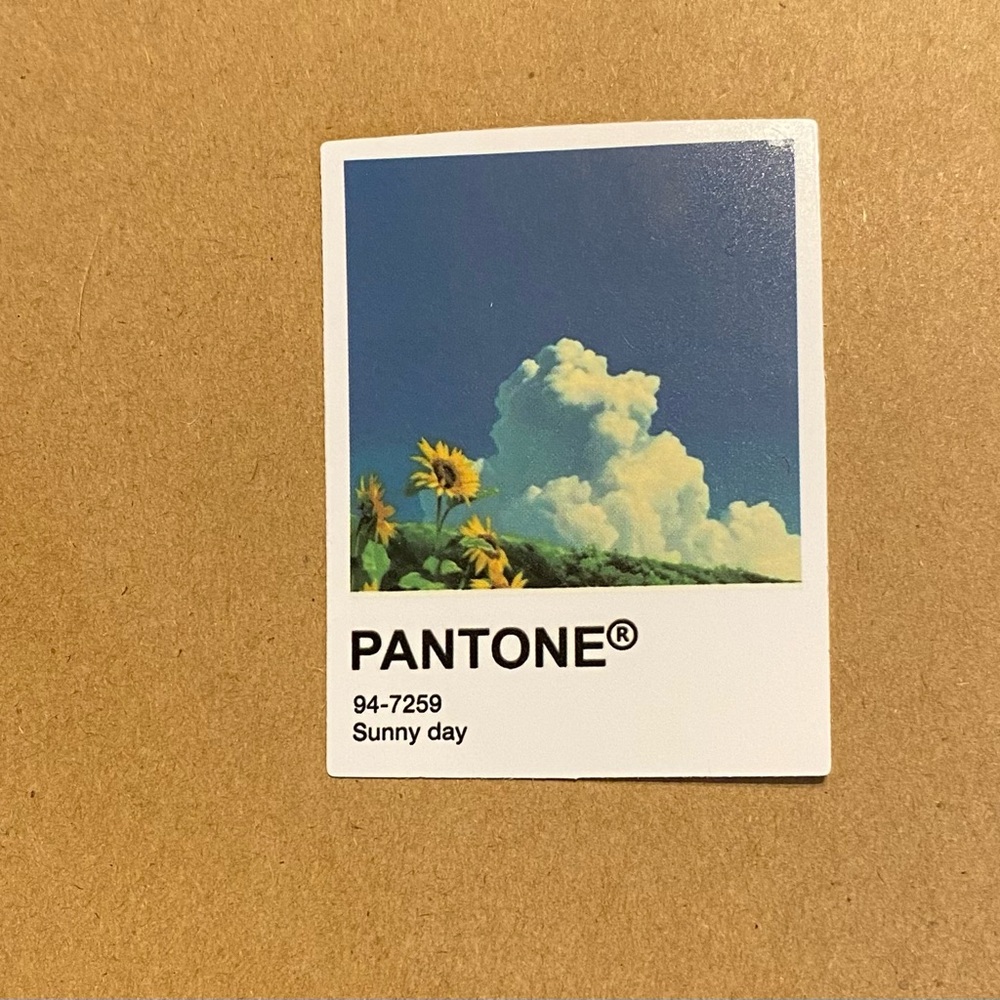 🌈20/$12🌈 Polaroid Sticker